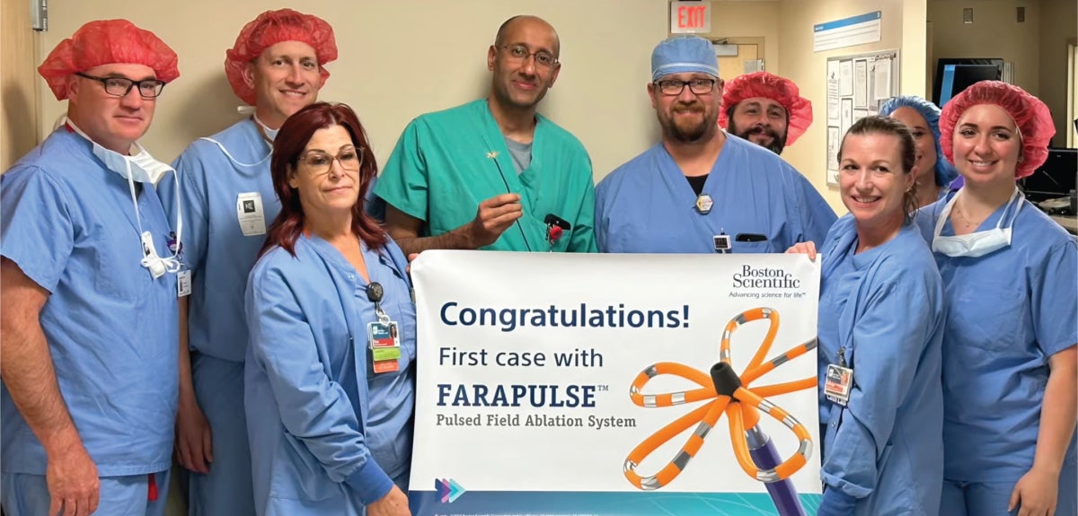 Farapulse team